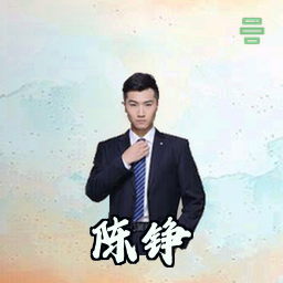 陈铮